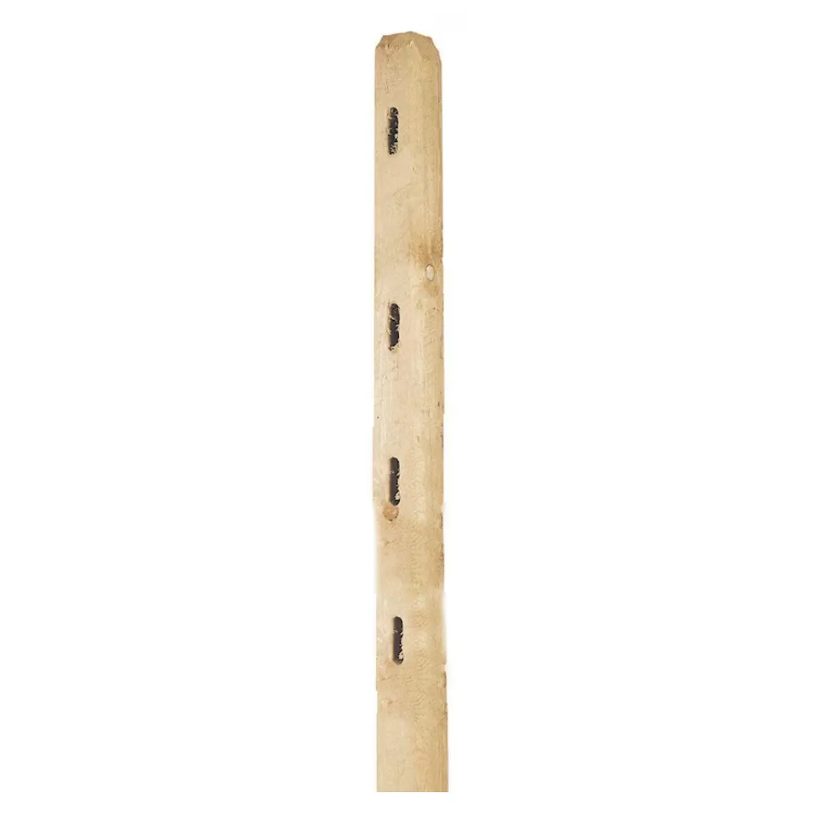 8 ft. Pressure Treated Wood Split Rail 4-Hole Line Post