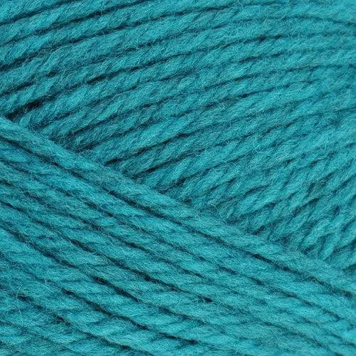 Nature Spun Bulky (Chunky) Weight Yarn | 155 Yards | 100% Wool