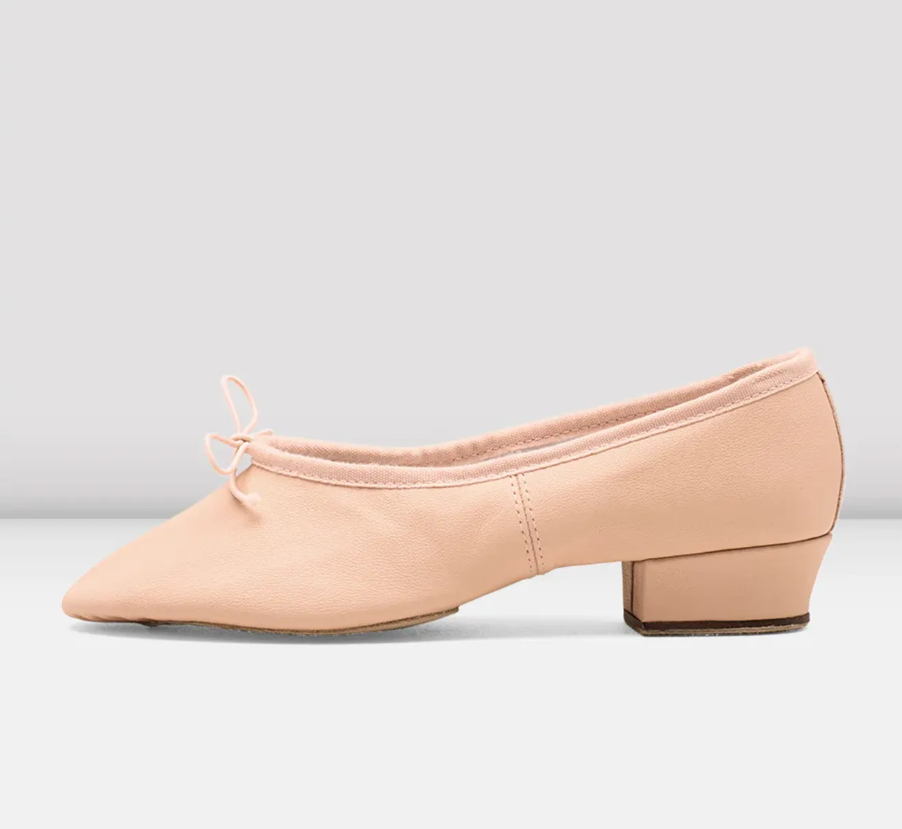 Paris Ballet Teaching Shoe