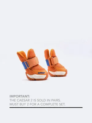 RIFRUF - Caesar 2 Apricot - Dog Shoes